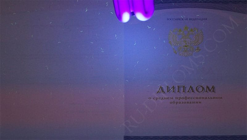 Диплом техникума или колледжа 2014-2026 НОВОГО ОБРАЗЦА 