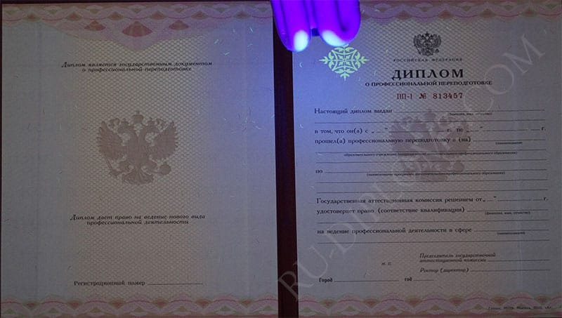 Диплом о переподготовке 2010 года 