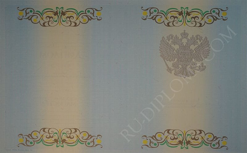 Диплом магистра 2010-2013 год 